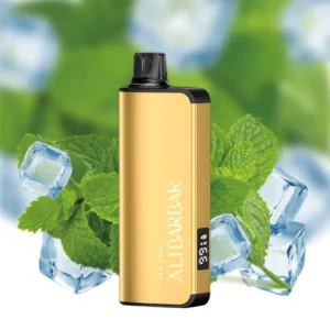 Alibarbar Ingot 9000 Disposable Vape - Cool Mint